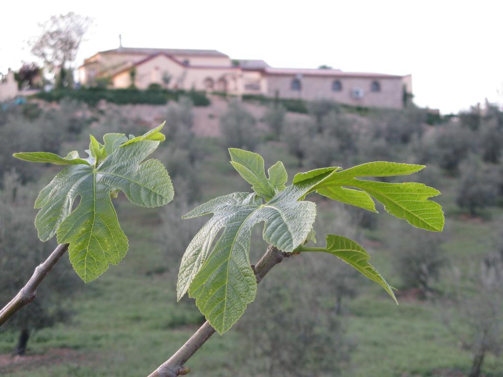 Pensjonat Hacienda Mendoza